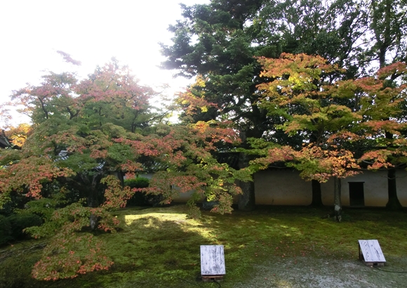 京都 随心院 紅葉
